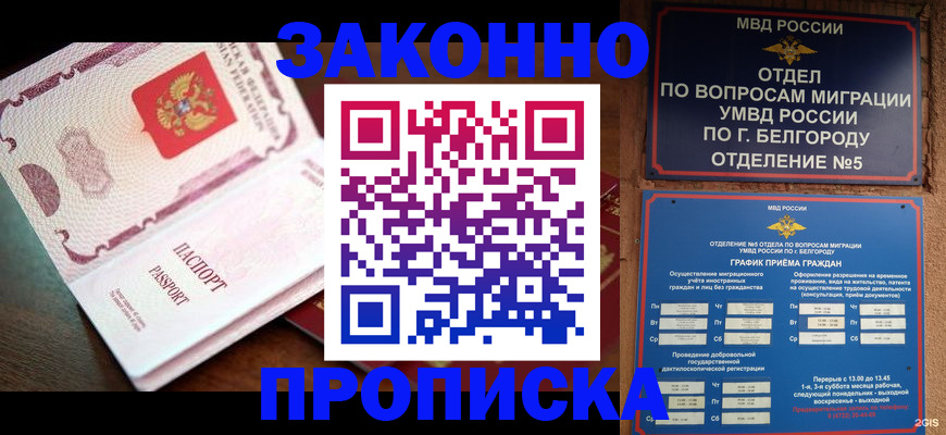 временная регистрация для школы в Гатчине